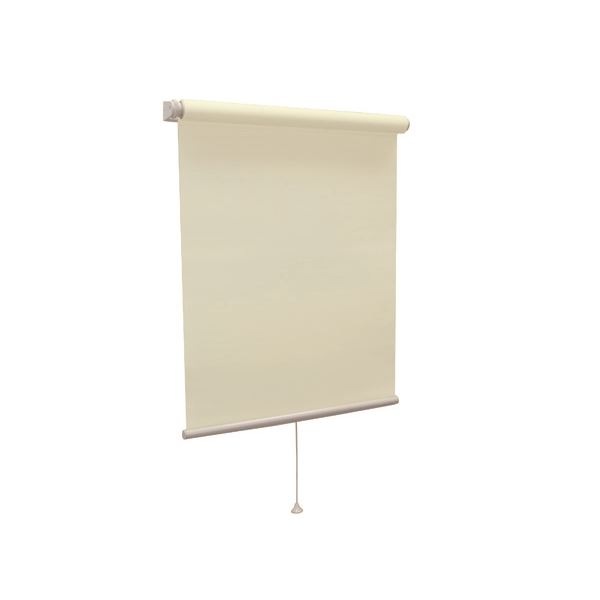 モダン ロールスクリーン (無地防炎 90cm×220cm ペールグリーン) 日本製 巻取りスピード調整機能付き 『ティオリオ』