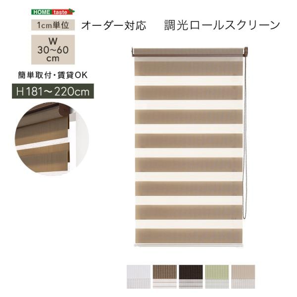 ロールスクリーン 調光 取付簡単 賃貸物件対応 目隠し おしゃれ カーテン ブラインド 1cm単位でオーダー可能 幅30～60cm×高さ181～220cm