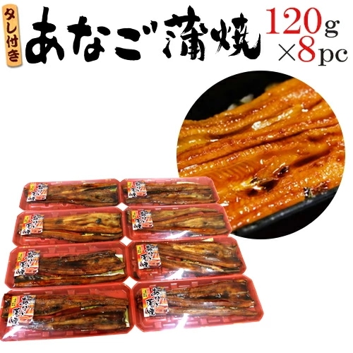 宮城県 三陸沖産=あなご蒲焼= 120g×8pc 山椒・タレ付き
