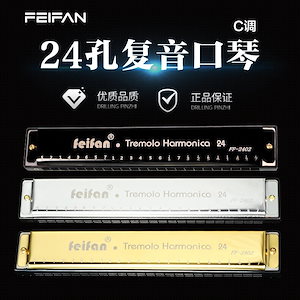 Feifan 24 穴メタル C キーポリフォニックハーモニカ子供用ハーモニカ学生初心者大人楽器