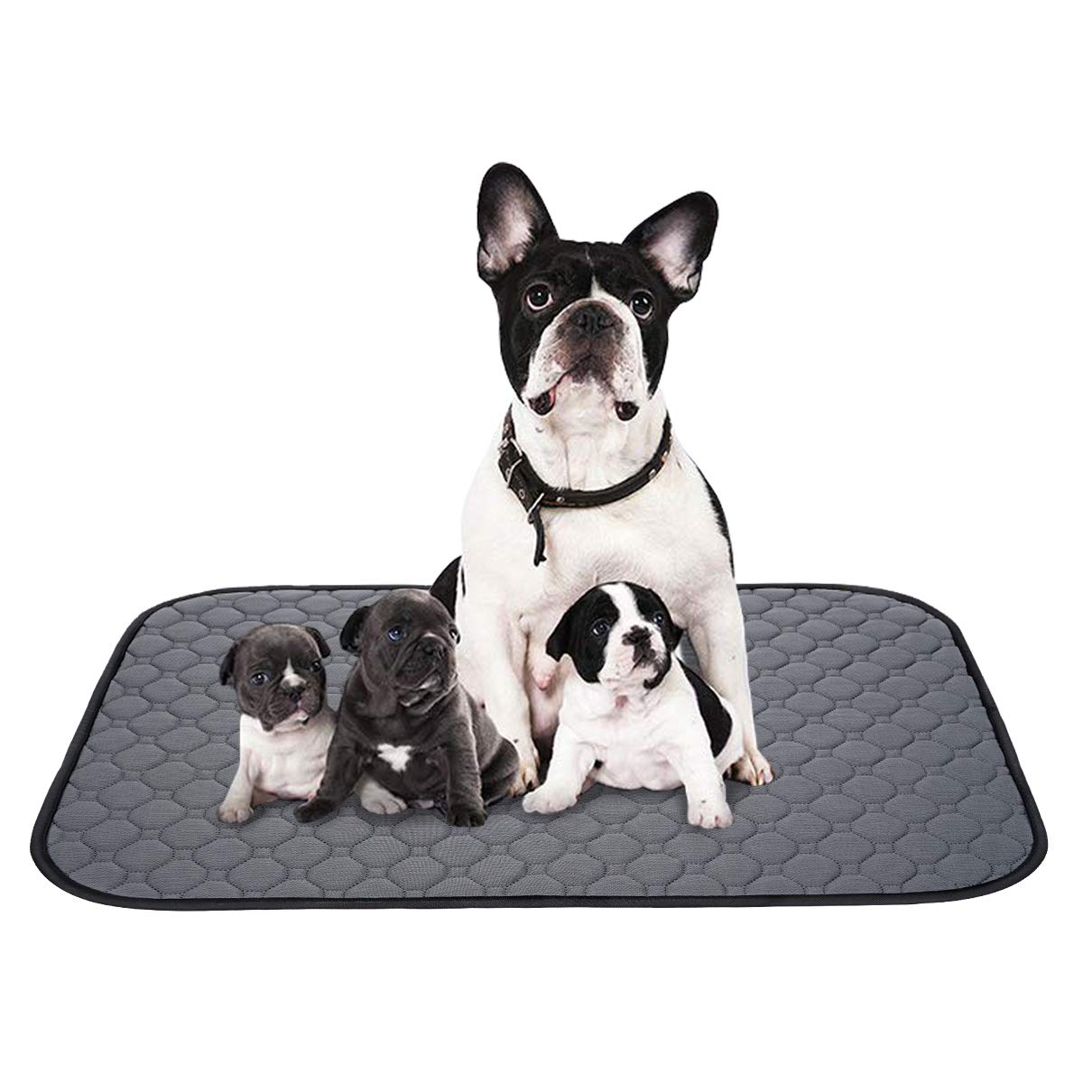 ペットシーツ 洗える 猫 犬用 おしっこパッド ペット用 トイレ下敷きマット 速乾 洗える 大判サイズ 多頭飼いに最適(グレーＸＬ 二枚セット)