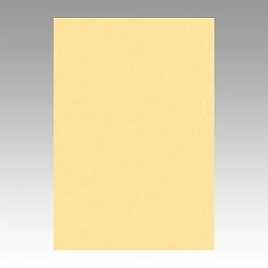 （業務用セット） 文運堂 ニューカラーR 八ツ切 横271縦392mm 8NCR-122 こいクリーム 100枚入 2セット