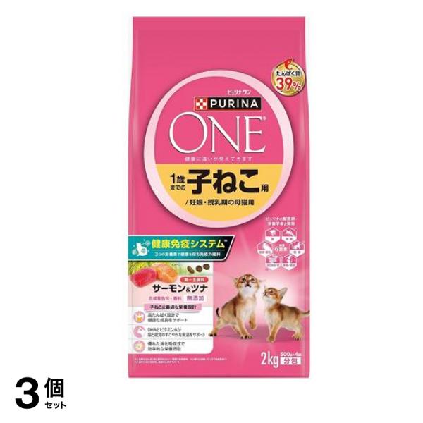 キャット ドライ 1歳までの子ねこ/妊娠・授乳期の母猫用 サーモン&ツナ 2kg 3個セット