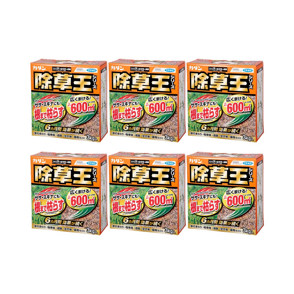 カダン　除草王　オールキラー粒剤　３ｋｇX６　除草剤　６ヵ月効果が続く　ササ　スギナ　ＣＲＣ90―33―15―01―00