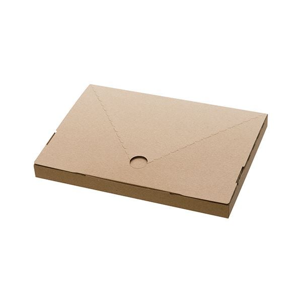 (まとめ) ヘッズ 無地コンパクト宅配ボックスW230×D20×H165mm M-TBX2 1パック（20枚） (×10セット)