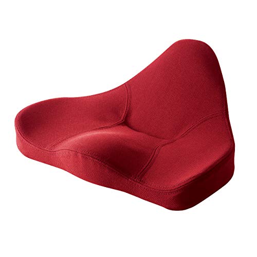 PROIDEA(プロイデア) 馬具マットプレミアム レッド 0070-3102-01 レッド