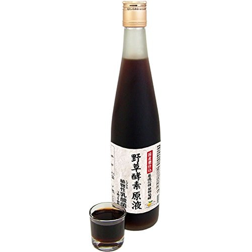 Angelbean 野草酵素 原液 乳酸菌入り 野菜果物・植物醗酵エキス 500ml