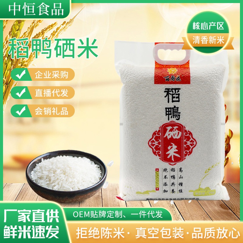 米合鴨セレン米農産物5kg袋長粒香り米10kg真空袋福祉返礼品セレン米