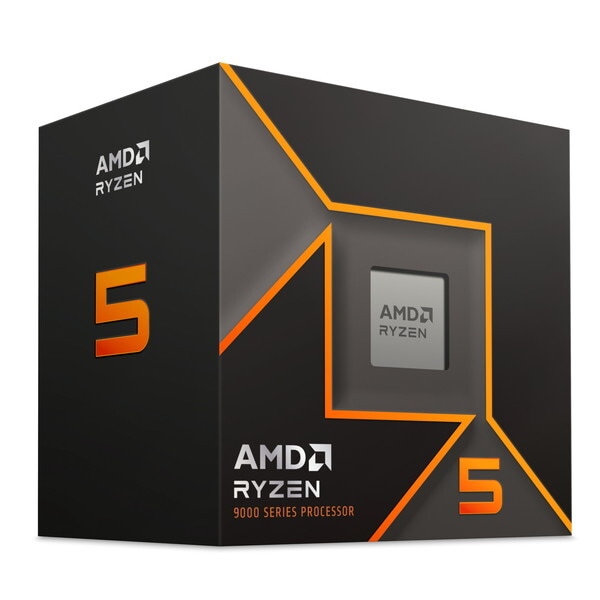 Ryzen 5 9600 CPU
