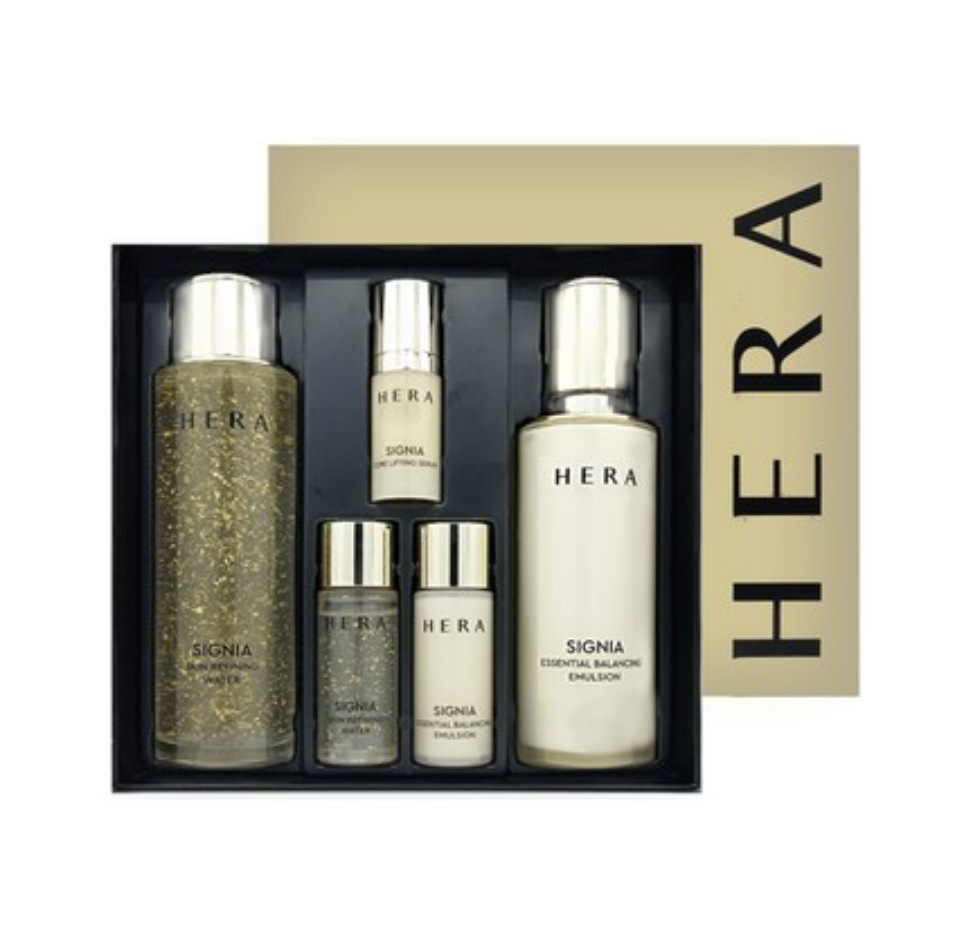 シグニア 2点セット