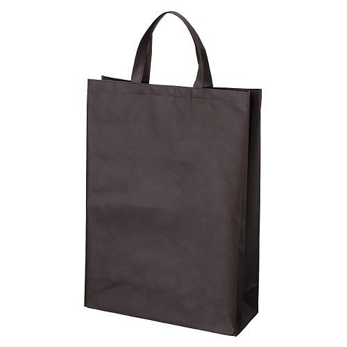 （まとめ買い）サンナップ 不織布バッグ 中 マチ付き 10枚 ブラウン FBH-45BR [x3]