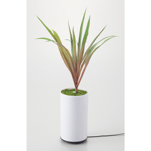 グリーンディフューザー A 観葉植物型アロマ噴霧器 アロマディフューザー I-70090 加湿