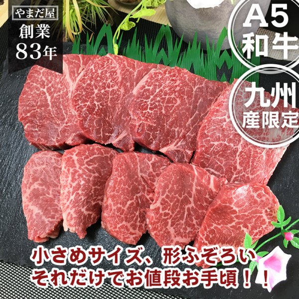 最高級 A5 和牛 佐賀牛 宮崎牛 ヒレ ミニステーキ 500g / 高級肉 ギフト 誕生日 プレゼント お礼 お返し 黒毛和牛 赤身 肉 ヒレ牛 ひれ 訳あり