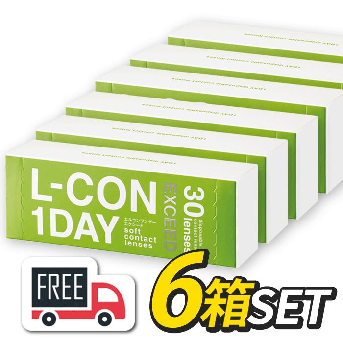 工ルコンワンデー エクシード 6箱セット（1箱30枚入）シンシア l-con lcon 1day コンタクトレンズ 1日使い捨て