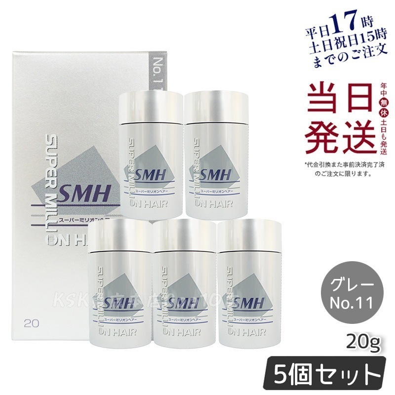【5個セット】ルアン スーパーミリオンヘアー 20g No.11 グレー 髪 頭 薄毛隠し 薄毛 分け目 つむじ ボリューム 男性 女性 白髪かくし