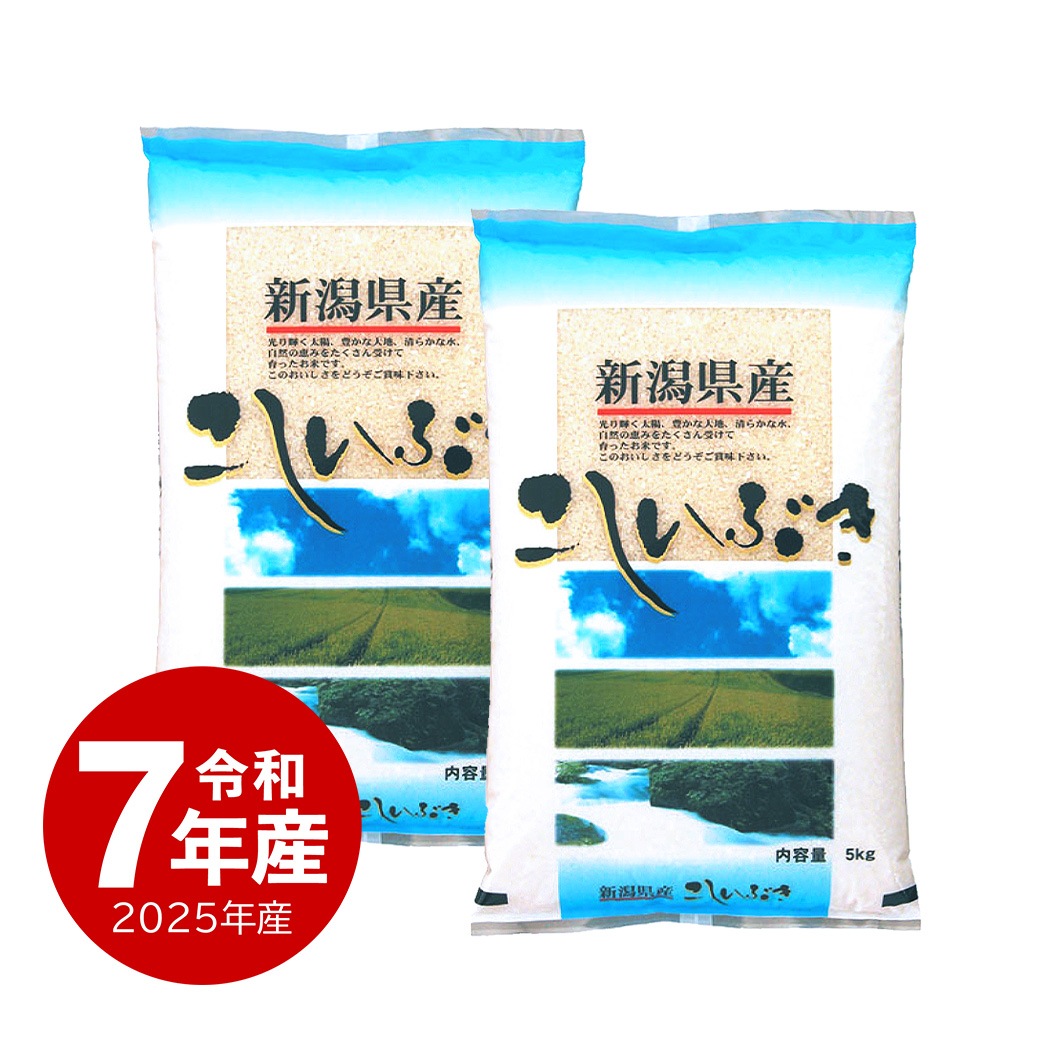 米 10kg こしいぶき 令和7年産 お米 白米 10キロ