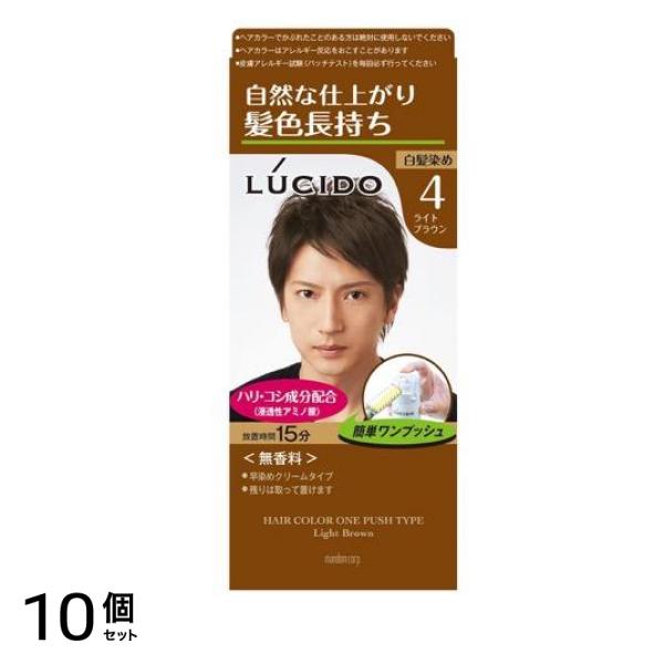 LUCIDO(ルシード) ワンプッシュケアカラー 4 ライトブラウン [1剤50g+2剤50g] 1個 10個セット