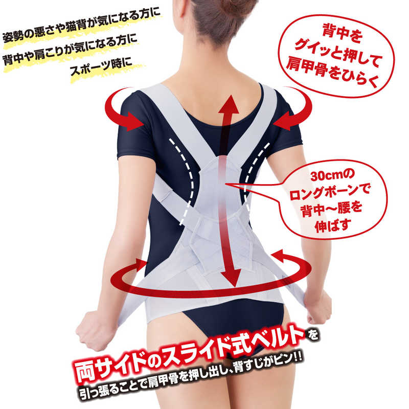 アルファックス　お医者さんのがっちり背すじベルト M-L