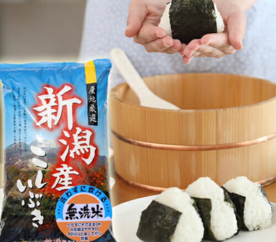 （新潟県産 こしいぶき 無洗米 5kg 令和6年産） 新潟産 無洗米5kg 高級米 おいしいお米 美味しいお米 産地直送 農家の米 コシヒカリの郷小出農場