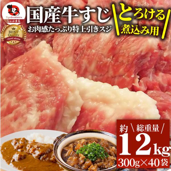 牛すじ 煮込み用 メガ盛り 12kg 牛肉 冷凍 肉 お肉屋さんの 牛 すじ 国産 生 スジ 訳あり お取り寄せ 送料無料 プロ用 業務用 小分け 23,955円