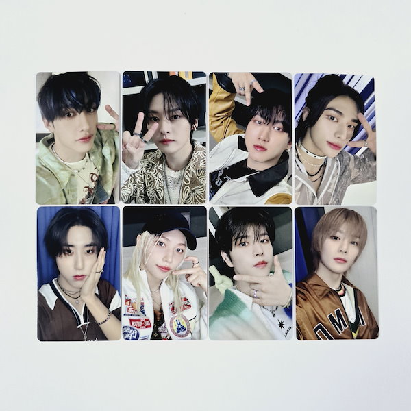 StrayKids SKZOO アイエン ラップトップ pcケース 弱々し cafe 売買されたオークション情報 落札价格 【au  payマーケット】の商品情報をアーカイブ公開