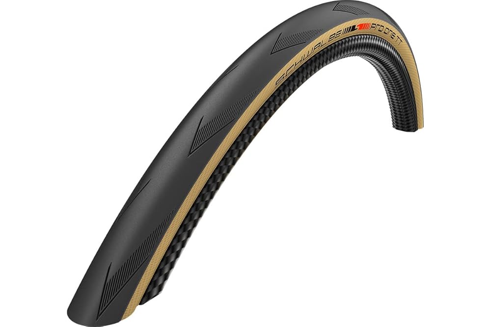 2本セット SCHWALBE(シュワルベ) PRO ONE TT チューブレスイージー ADDIX Race TLEタイヤ プロワンTT (700x25c) [並行輸入品]