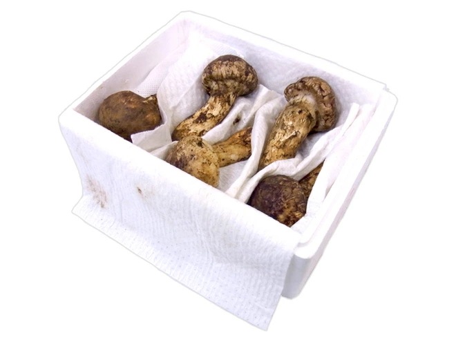 =中国産 松茸= 約1kg 原体 ほんのちょっと訳あり つぼみ-開き 予約 7月-8月以降