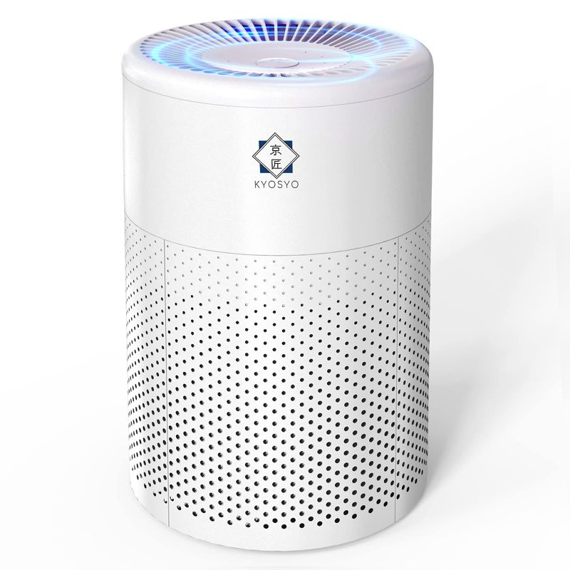 空気清浄機 10畳 脱臭 集じん 花粉 小型 卓上 タバコ ほこり ペット ハウスダスト アレルギー ウイルス除去 PM2.5 カビ取り 静