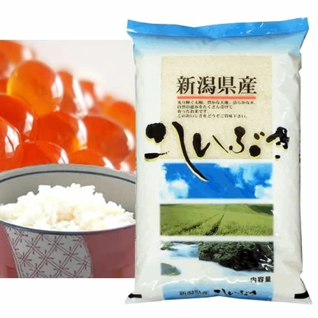 越後の米 令和7年産 新潟県産 こしいぶき 10kgx2袋 (白米/玄米/無洗米加工/保存包装 選択可)