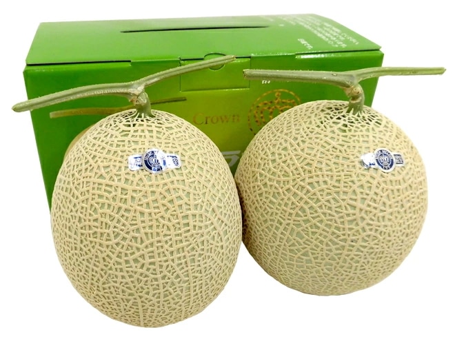 静岡産 =クラウンメロン=最高等級　山大玉 約1.8kg2玉入り 専用化粧箱