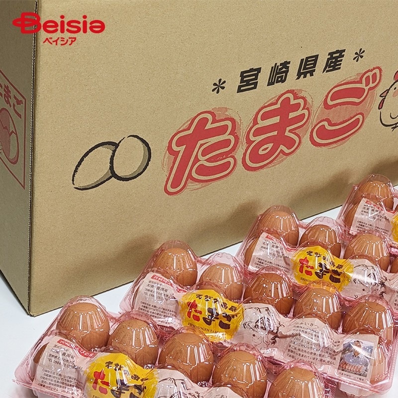 東養鶏場 えびの高原卵 10個入×20パック 東養鶏場 卵 ギフト 産地直送 プレゼント 高級贈答用 卵かけご飯 卵焼き 卵料理 美味しい卵 新鮮卵 栄養満点 こだわり卵 卵ギフト