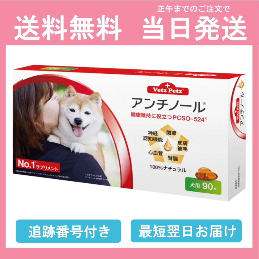 アンチノール 犬用 即日発送 www.krzysztofbialy.com