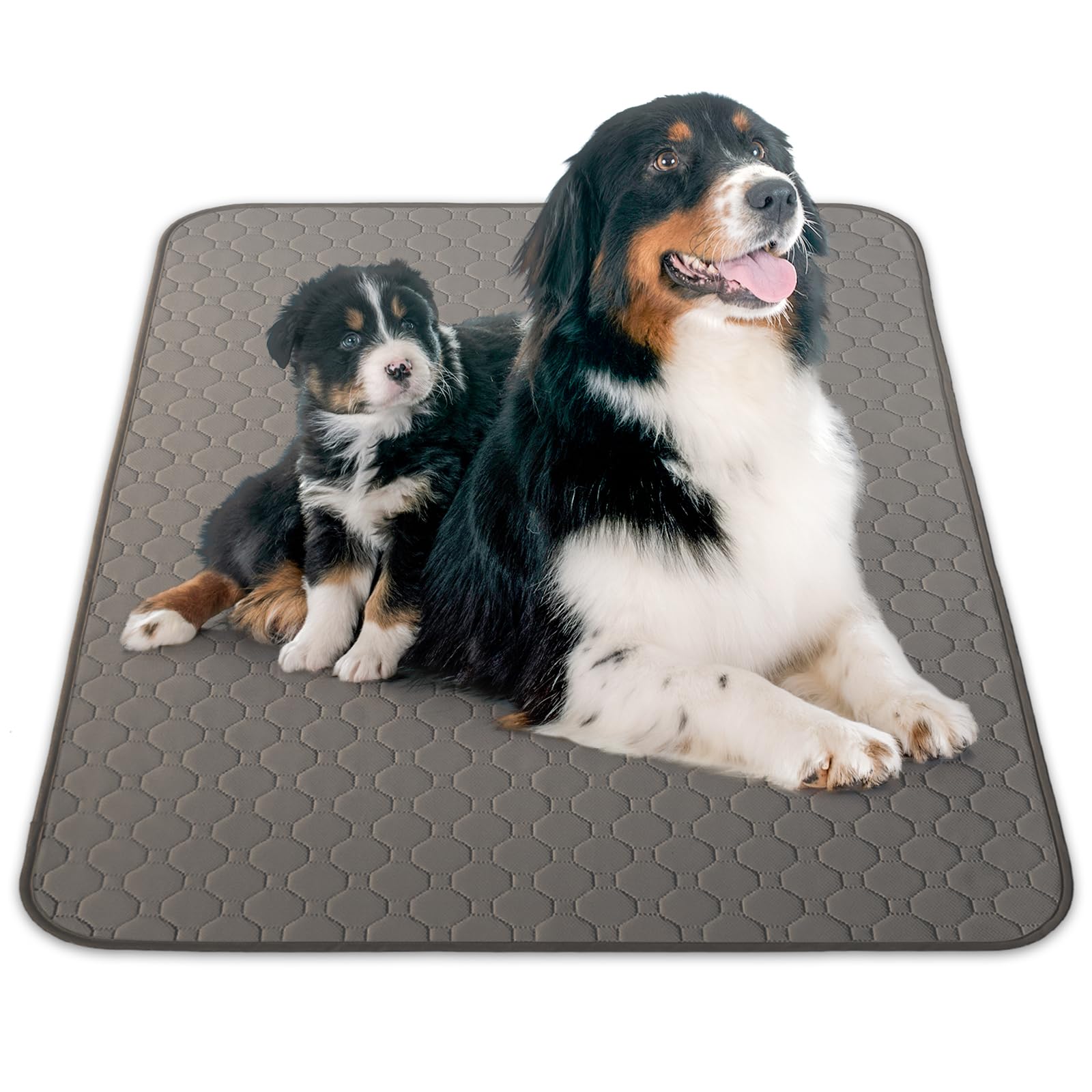 INULABO(イヌラボ) 洗える ペットシーツ ビッグ おしっこマット ペットマット 丸ごと洗える 繰り返し使える 【高耐久 (XL 65.5*52cm（2枚セット） ホワイト)