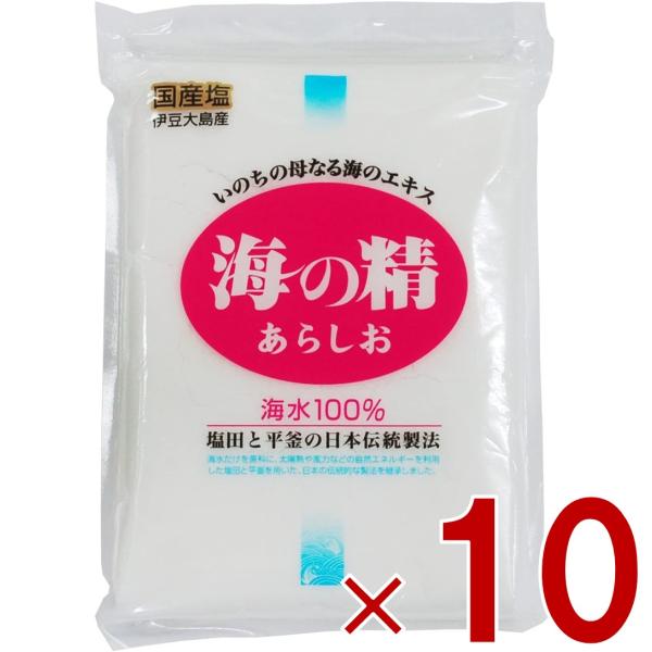 塩 粗塩 あら塩 海の精 あらしお 500g 10個