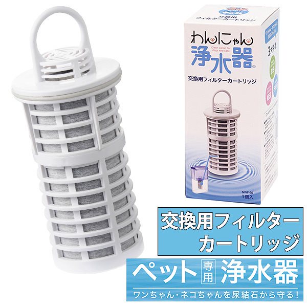 藤井フミヤ FF 2011 Special Live CORE Ⅳ DVD