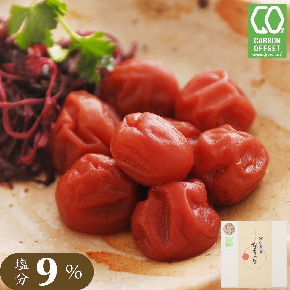 梅干し 無添加 減塩 しそ 昔ながら 紀州 小梅干 なちゅら 塩分9% 600g しそ梅干し しそ漬け 岩惣