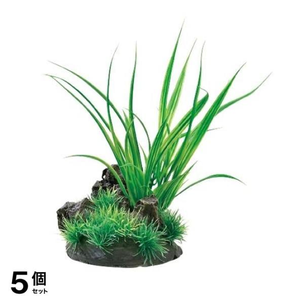 GEX 癒し水景 アクアキャンバス 1個入 (シペルス) 5個セット