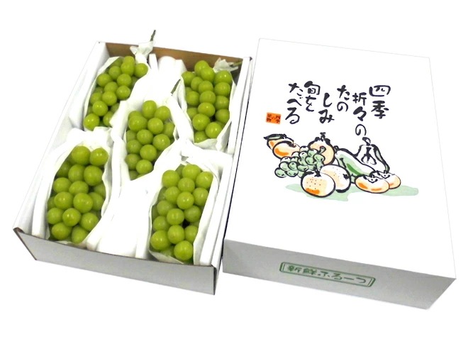 =シャインマスカット= 秀品 大房限定 3-6房 約3kg 化粧箱入り　 産地厳選[K2] 予約 8月下旬以降 10,350円
