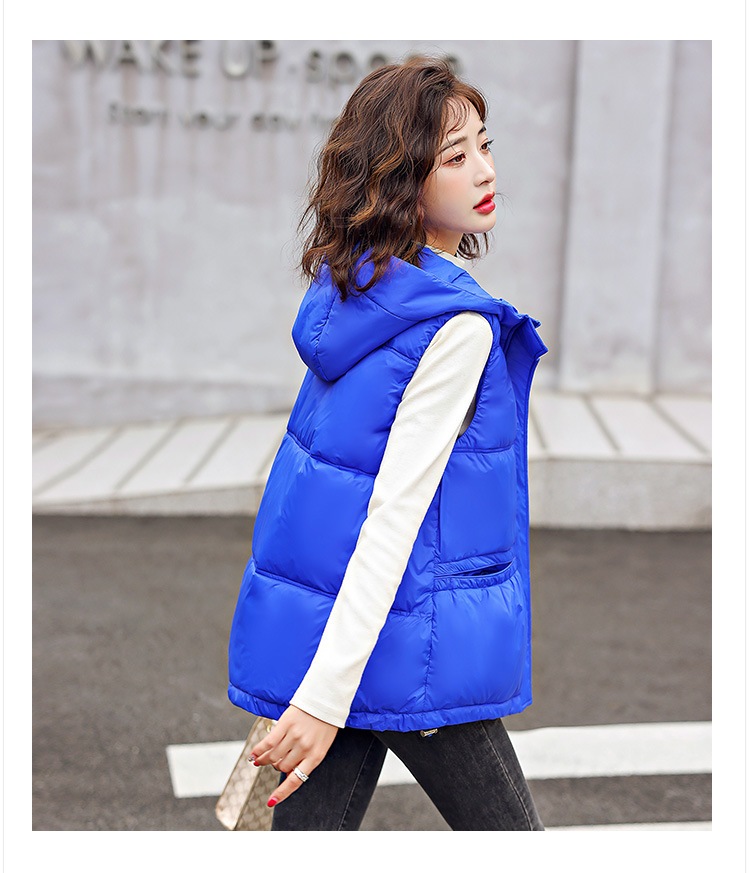 【P】J. Crew ジェイクルー ダウンベスト 女性用 ブラッシュドマルチポリ ロング ダウン コート （ダウン