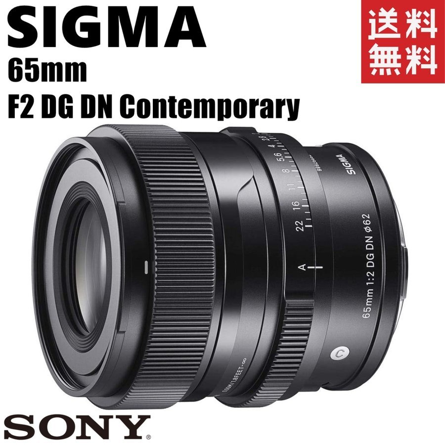 65mm F2 DG DN 単焦点 ソニーEマウント レンズ カメラ 中古