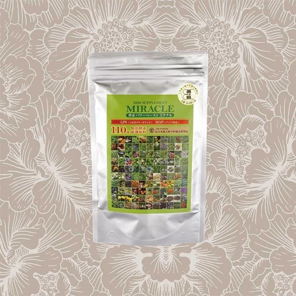 DDS SUPPLEMENT サプリメント 30包入 150g 酵素パワーペースト