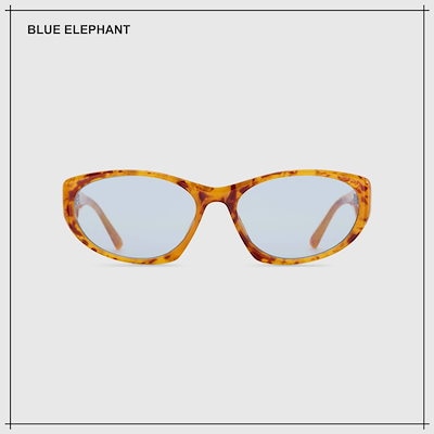 【BLUE ELEPHANT】 BRAT pumpkin サングラス 正規品