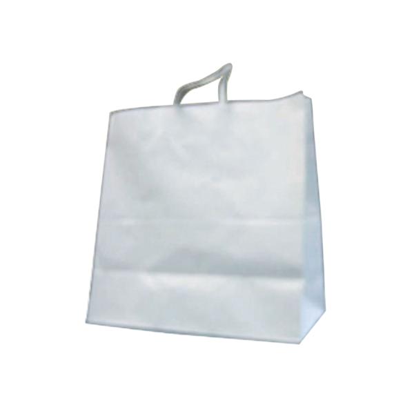 紙袋 パックタケヤマ 手提袋 HVT150 晒 無地50枚