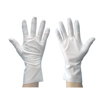 アガベ ホリダ 中株 【公式通販】