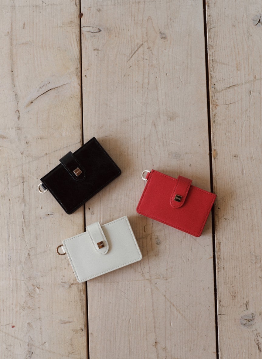 【DEMERIEL】 MULTI CARD HOLDER : 3COLORS 8,250円