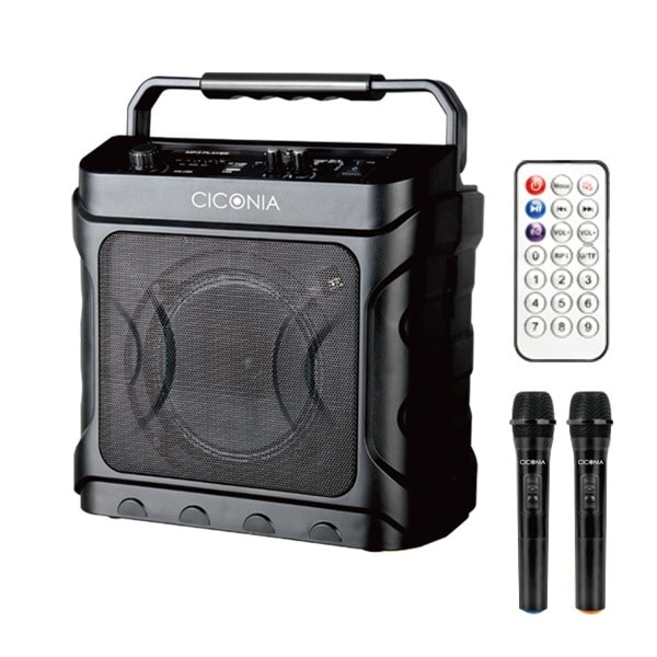 CICONIA チコニア デスクトップスピーカー CDD160A