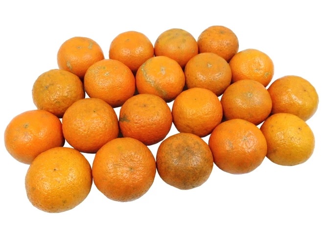 奄美大島/屋久島産 =たんかん= 訳あり 2L以上 約5kg 予約 2月以降