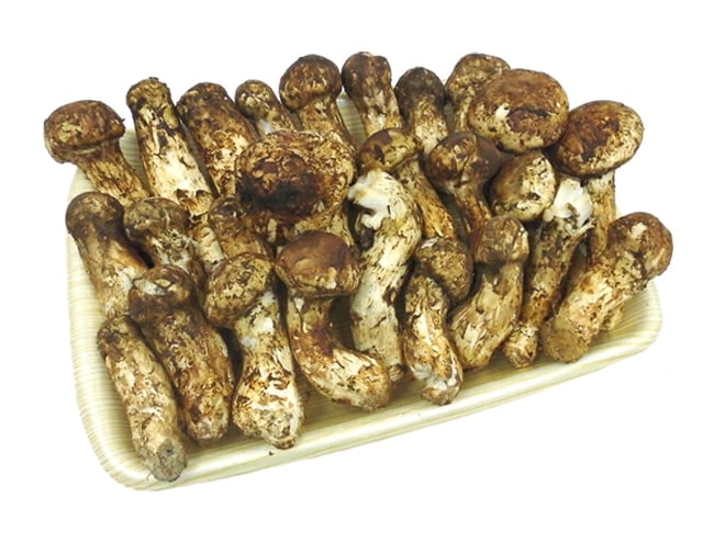 =中国産 松茸= 約1kg 訳あり 開き方大きさおまかせ 予約 7月-8月以降