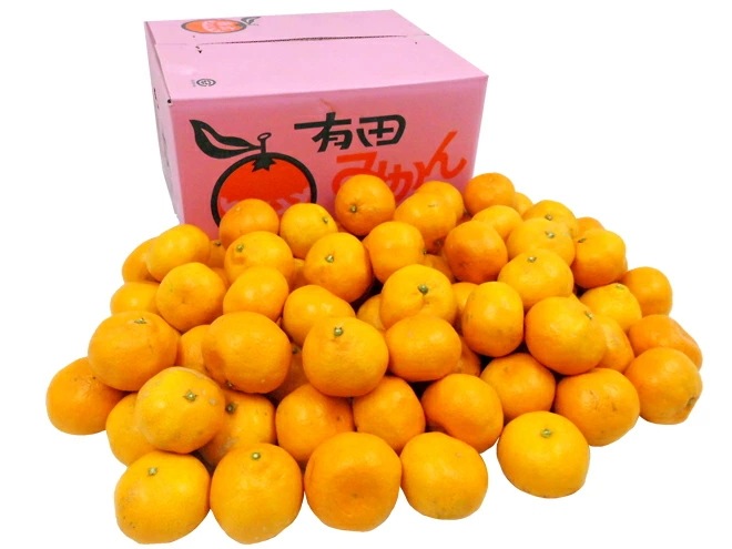 和歌山産 =有田みかん= 訳あり L-LLサイズ 約10kg 産地箱 ありだみかん 予約 11月末以降