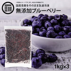 [前田家] 国産 熊本県産 ブルーベリー 冷凍 1kg(1000g) x 3袋 無添加 ばら バラ